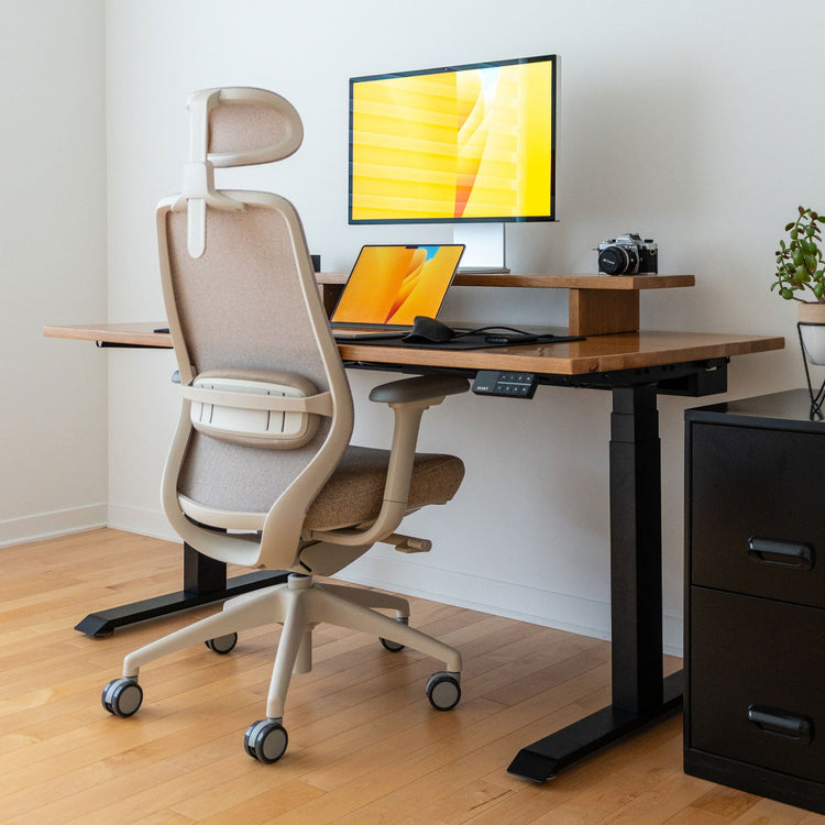 Chaise de bureau ergonomique Desky Coilflex