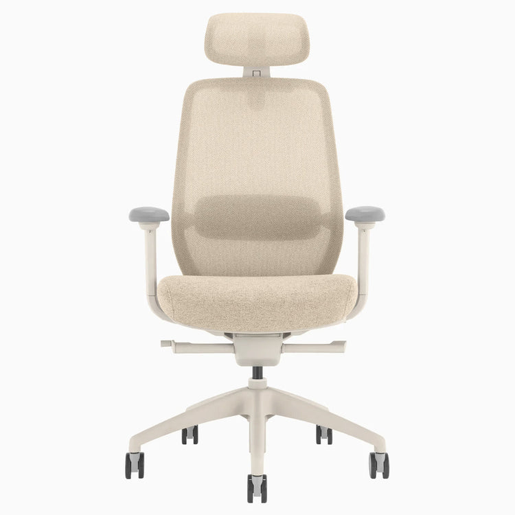 Chaise de bureau ergonomique Desky Coilflex