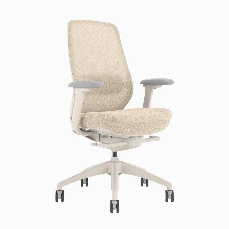 Chaise de bureau ergonomique Desky Coilflex