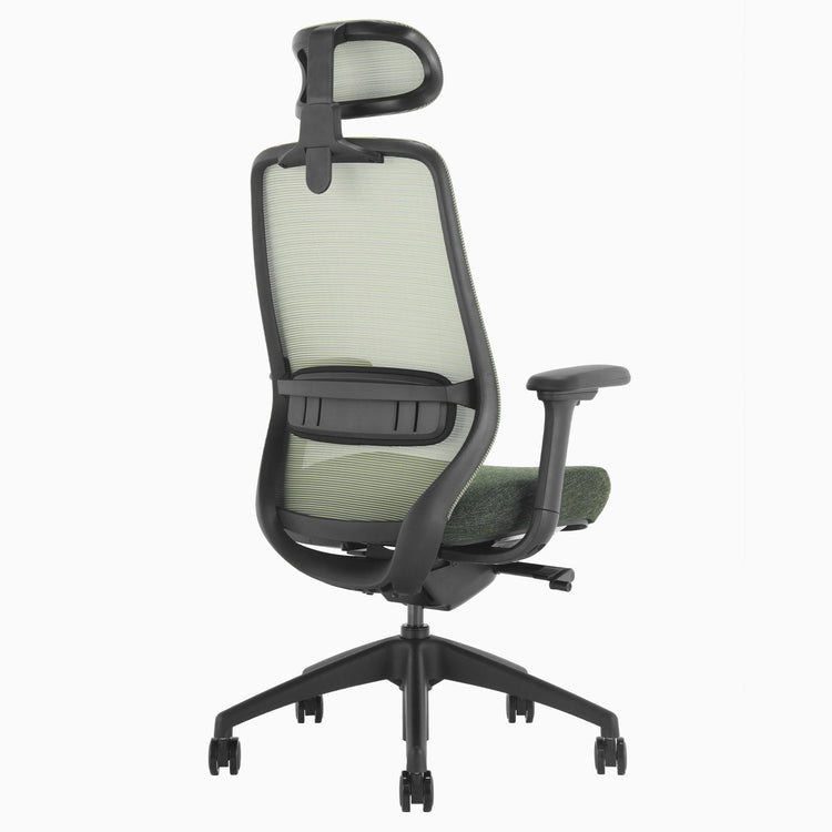 Chaise de bureau ergonomique Desky Coilflex