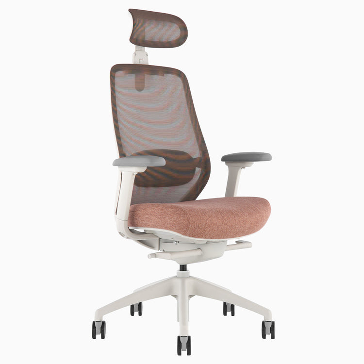 Chaise de bureau ergonomique Desky Coilflex