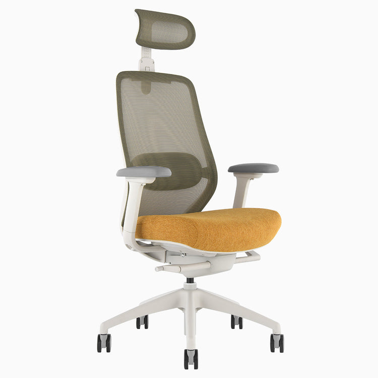 Chaise de bureau ergonomique Desky Coilflex