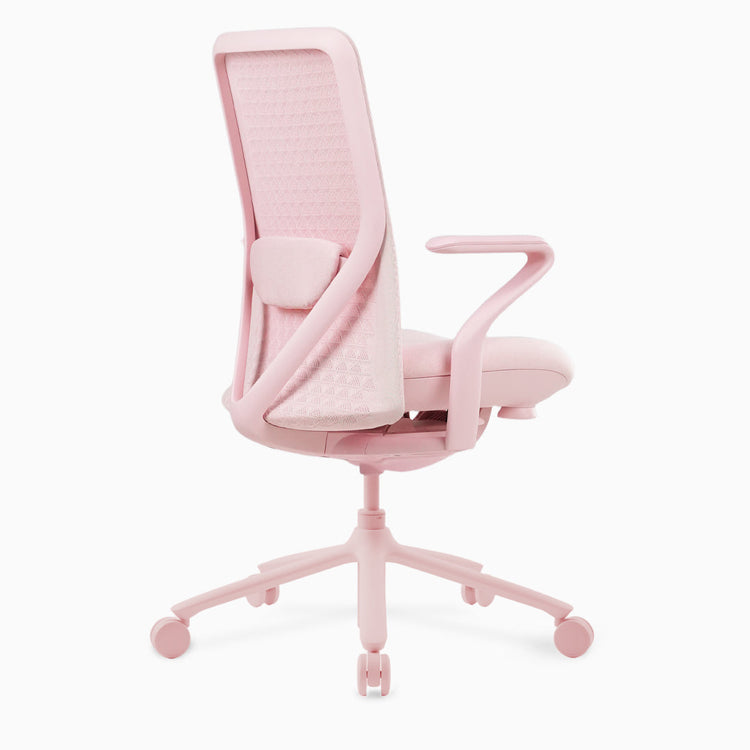 Desky Pro ergonomischer Bürostuhl aus Mesh