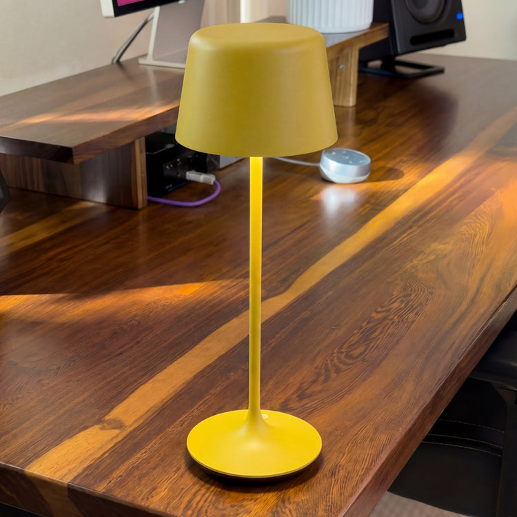 Desky Silhouette Cordless Desk Lamp