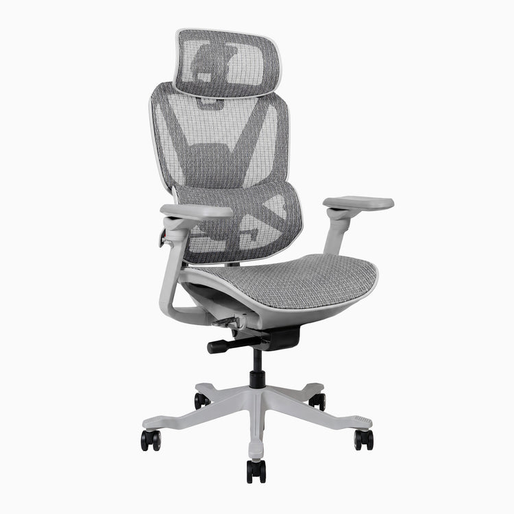 Desky contourra ergonomic office chair in white