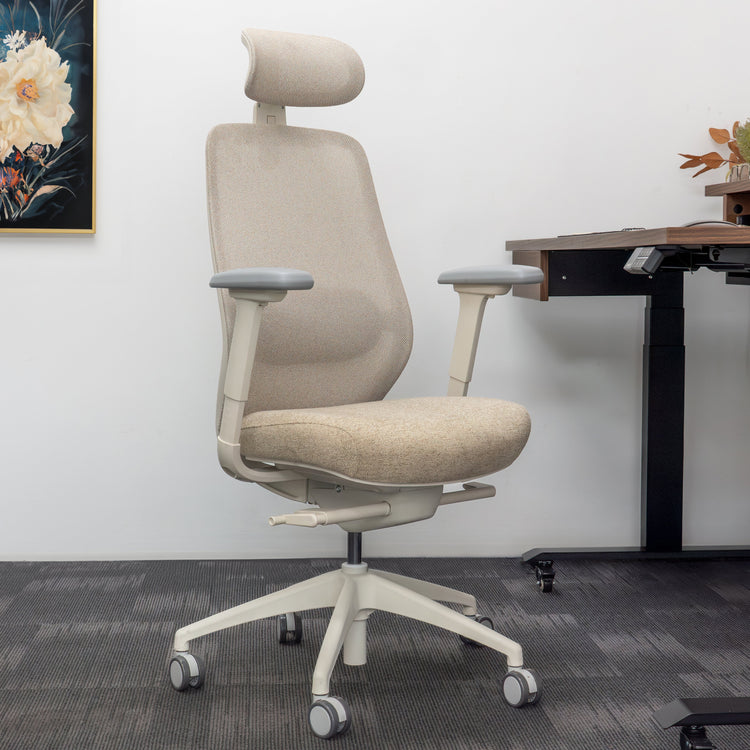 Chaise de bureau ergonomique Desky Coilflex