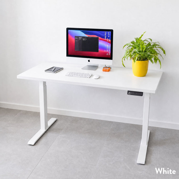 Desky Single Sit Stand Desk
