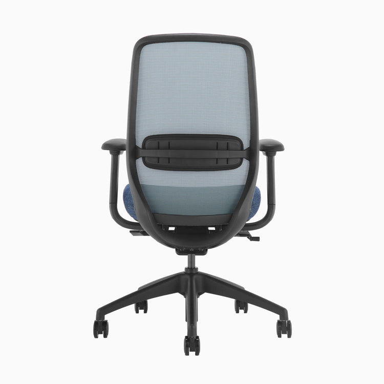 Desky CoilFlex Ergonomic Office Chair