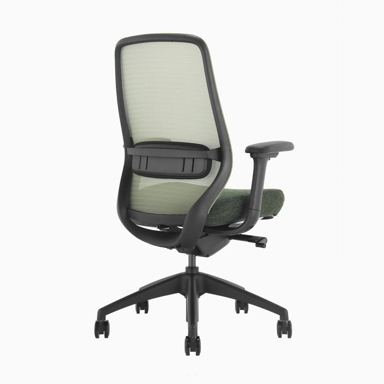 Desky CoilFlex Ergonomic Office Chair