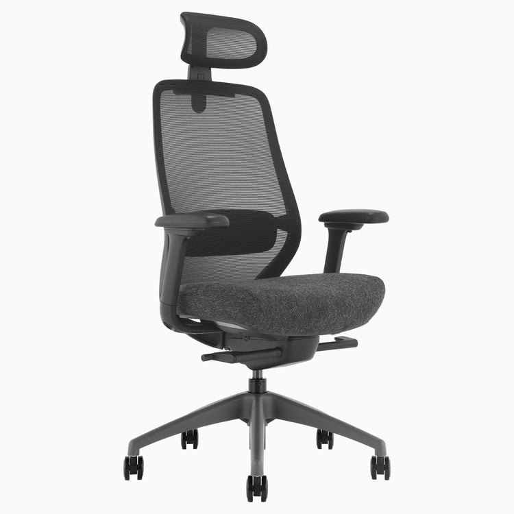 Desky CoilFlex Ergonomic Office Chair