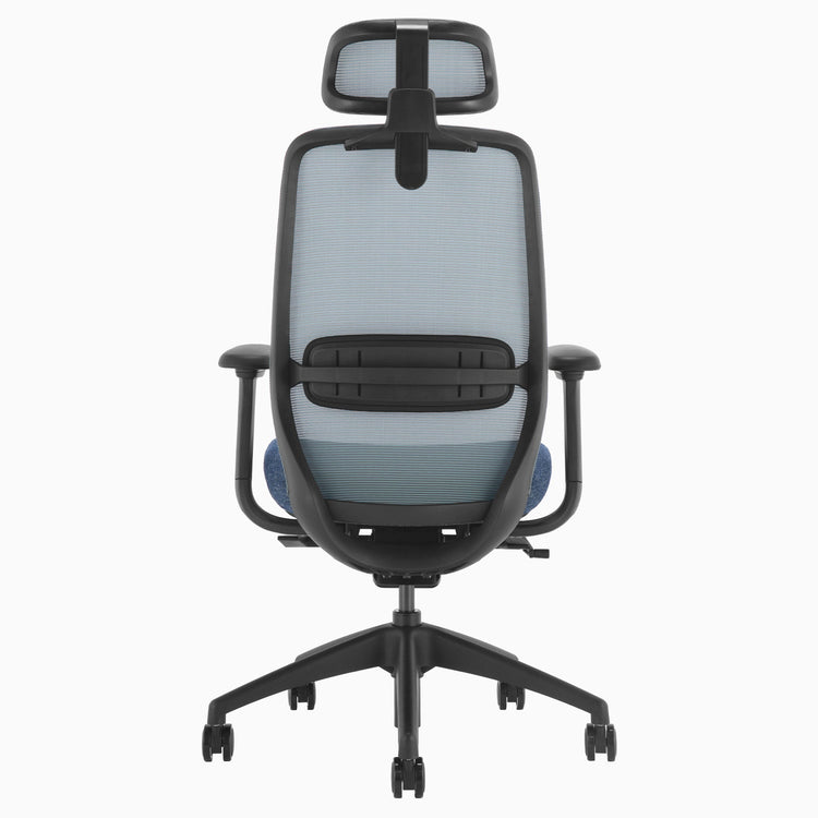 Desky CoilFlex Ergonomic Office Chair