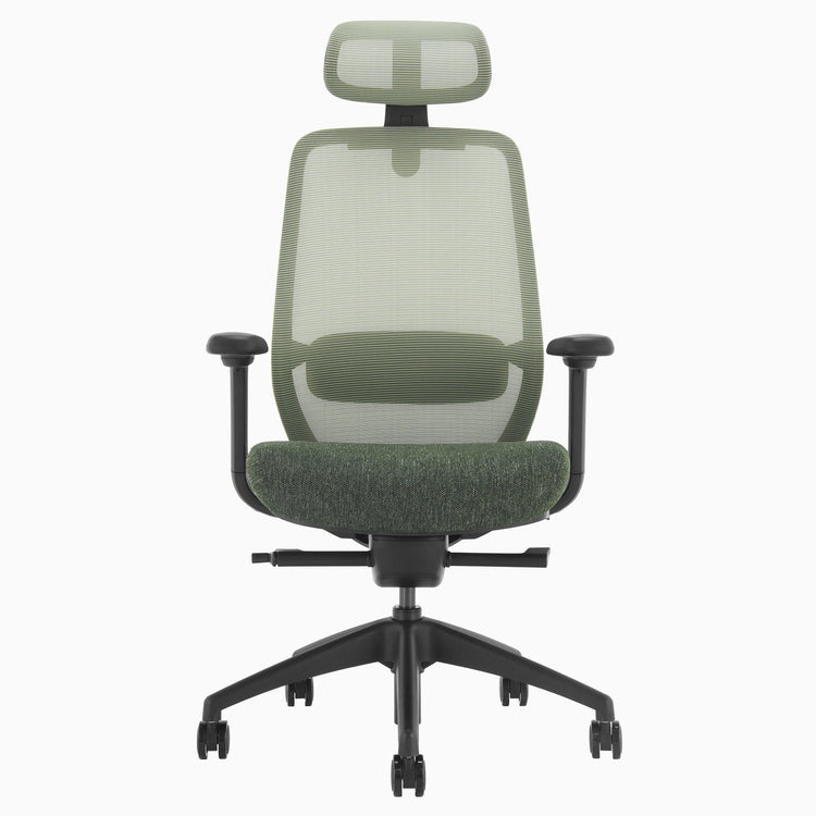 Desky CoilFlex Ergonomic Office Chair