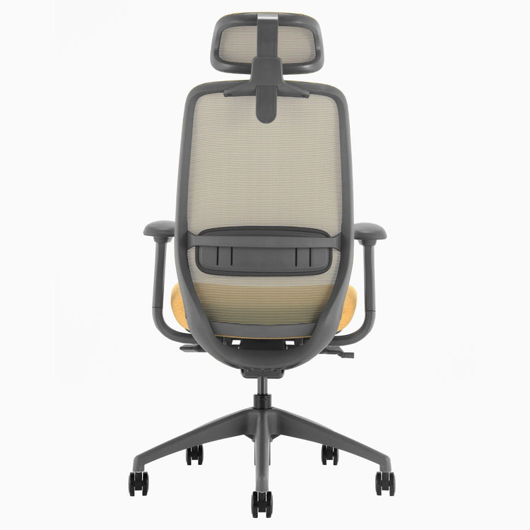 Desky CoilFlex Ergonomic Office Chair