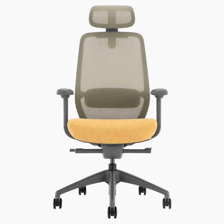 Desky CoilFlex Ergonomic Office Chair