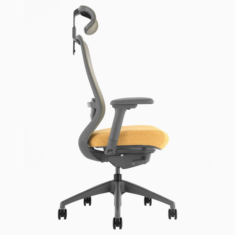 Desky CoilFlex Ergonomic Office Chair