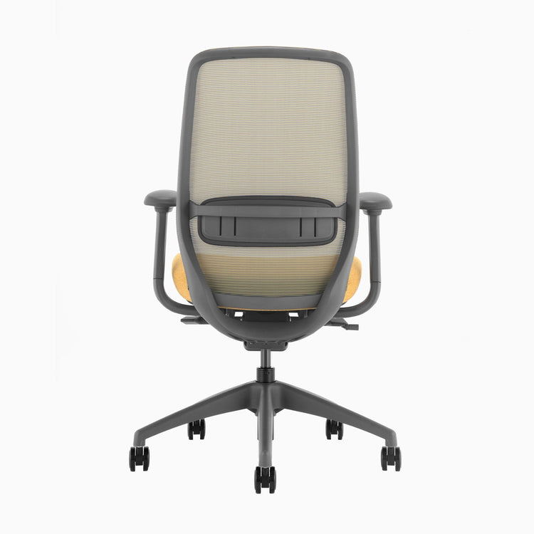 Desky CoilFlex Ergonomic Office Chair