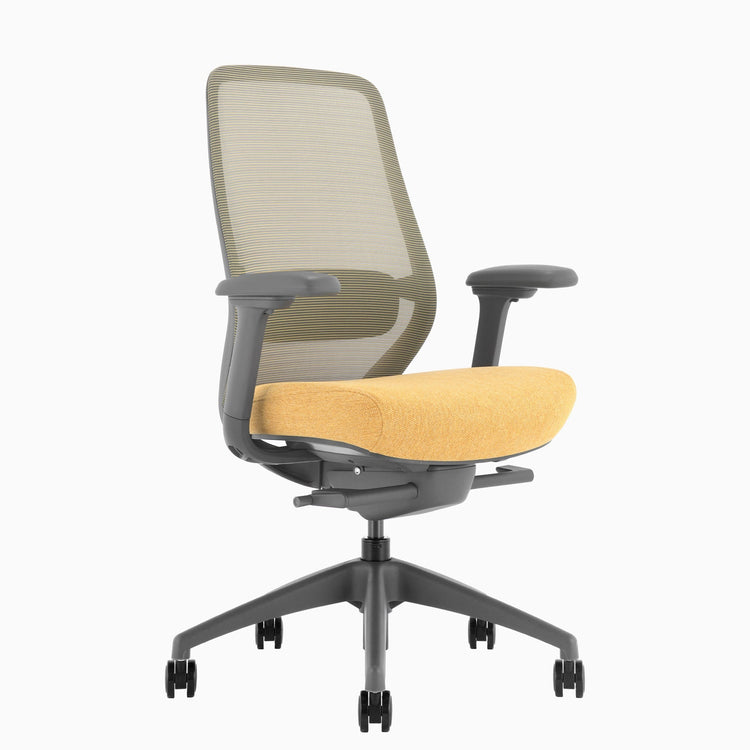 Desky CoilFlex Ergonomic Office Chair