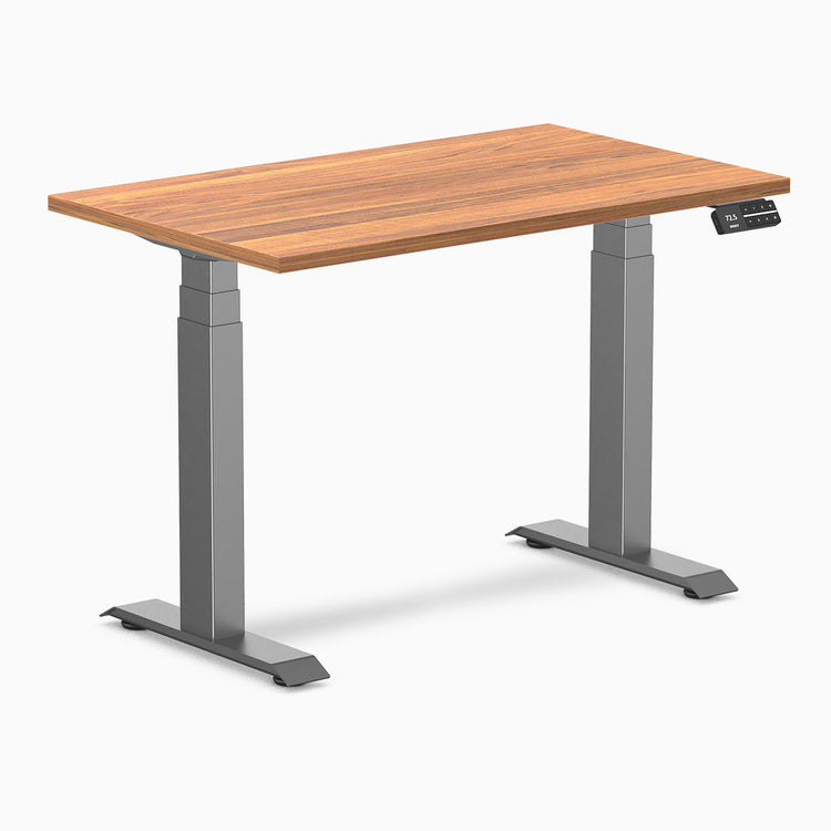 Desky Dual Mini Sit Stand Desk