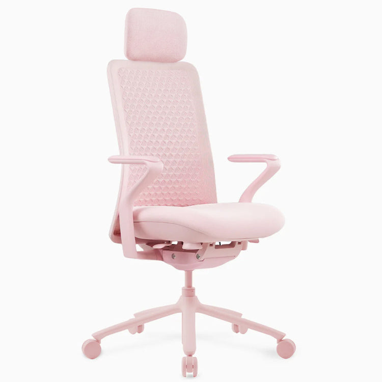 Desky Pro ergonomischer Bürostuhl aus Mesh