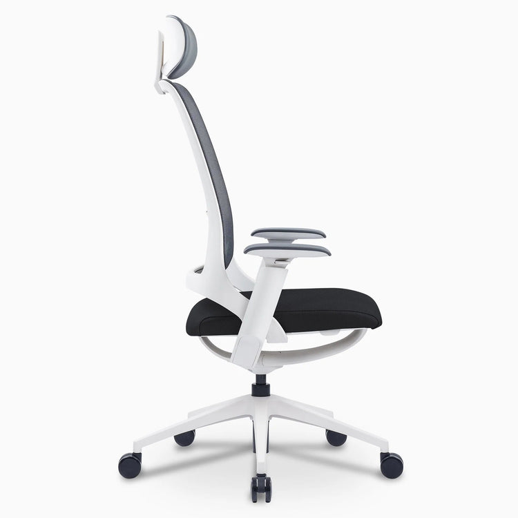 Ergonomiczne krzesło biurowe Desky Pulse