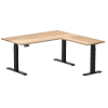 L-Shape Standing Desks