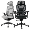 Mesh Office Chairs